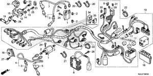 Нажмите для увеличения Wire Harness (1)