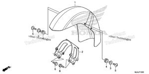Front Fender (1)