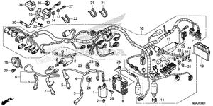 Wire Harness (2)