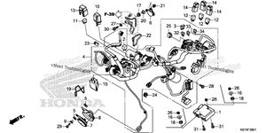 Wire Harness (2)