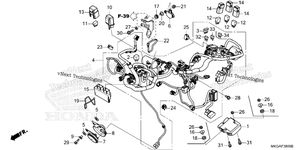 Wire Harness