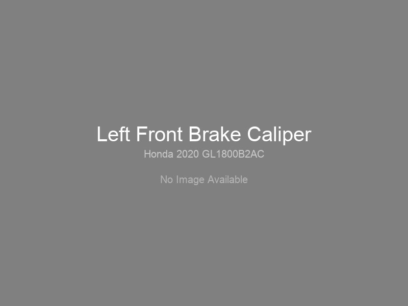 Left Front Brake Caliper