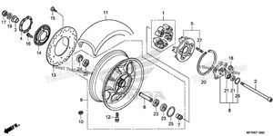Rear Wheel