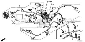 Wire Harness