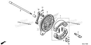 Rear Brake Panel