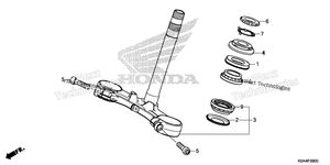 Starter Motor (1)
