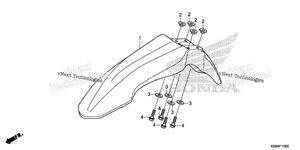 Front Fender