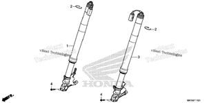 Front Fork (2)