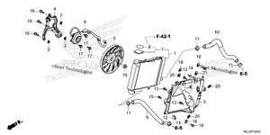 Нажмите для увеличения Radiator (R.)