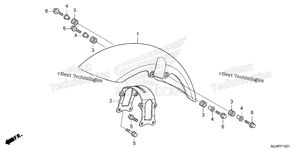 Front Fender (2)