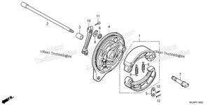 Rear Brake Panel