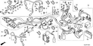 Wire Harness (1)