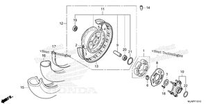 Rear Wheel (Drum Brake)