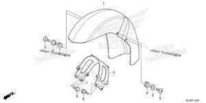Front Fender (1)