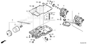 Oil Pan@Oil Pump