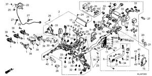 Wire Harness