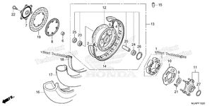 Rear Wheel (Disk Brake)