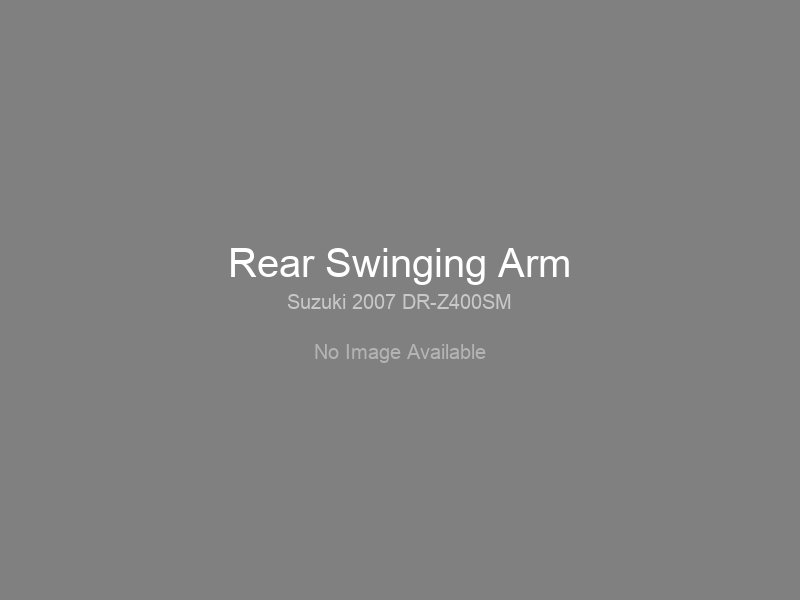 Rear Swinging Arm