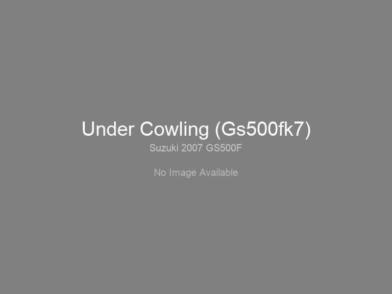 Under Cowling (Gs500fk7)