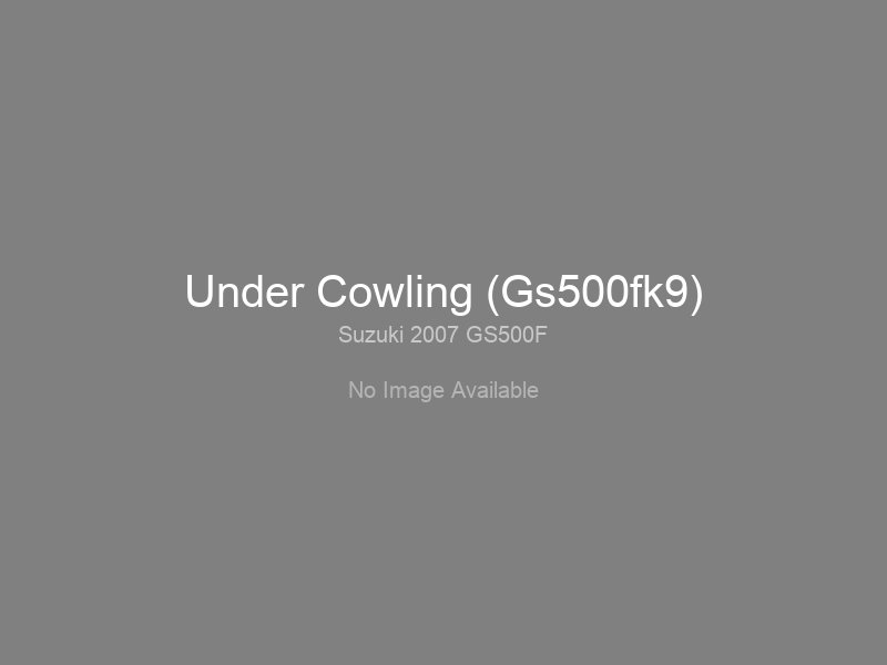 Under Cowling (Gs500fk9)