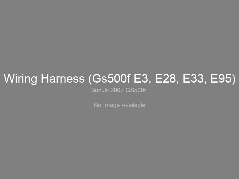 Wiring Harness (Gs500f E3, E28, E33, E95)