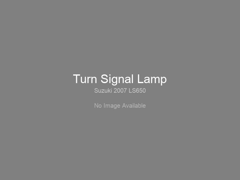 Turn Signal Lamp