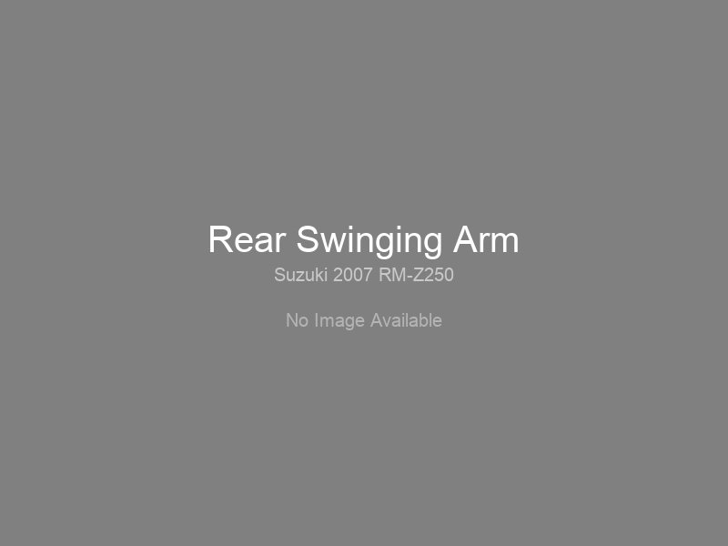 Rear Swinging Arm