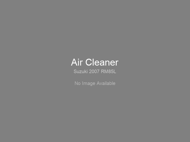 Air Cleaner