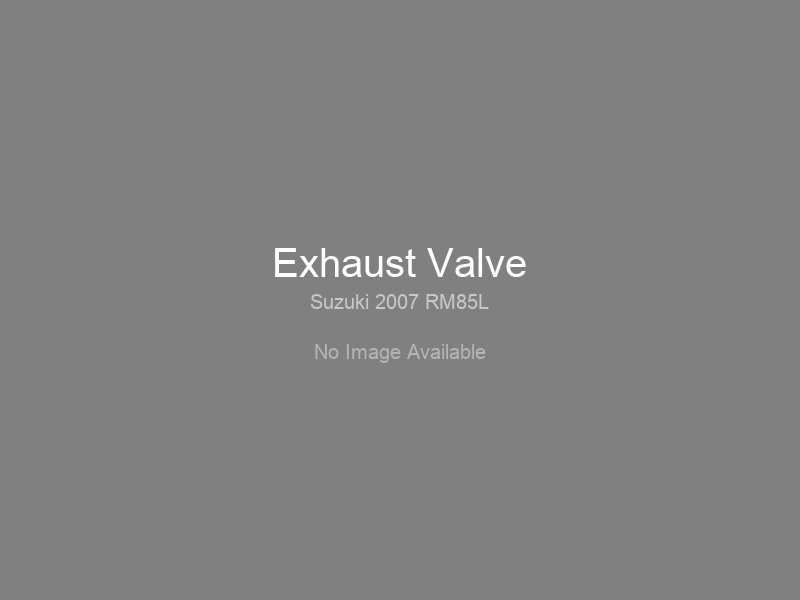 Exhaust Valve