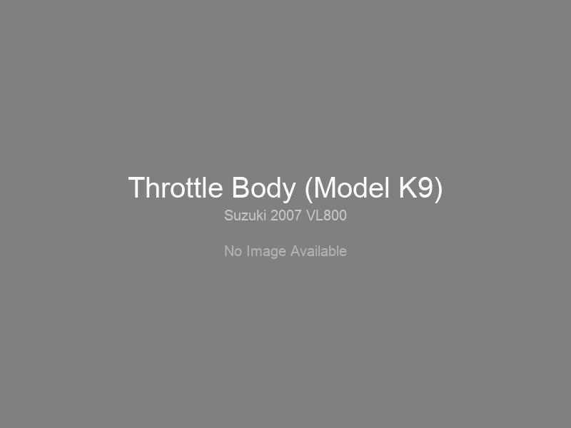 Throttle Body (Model K9)