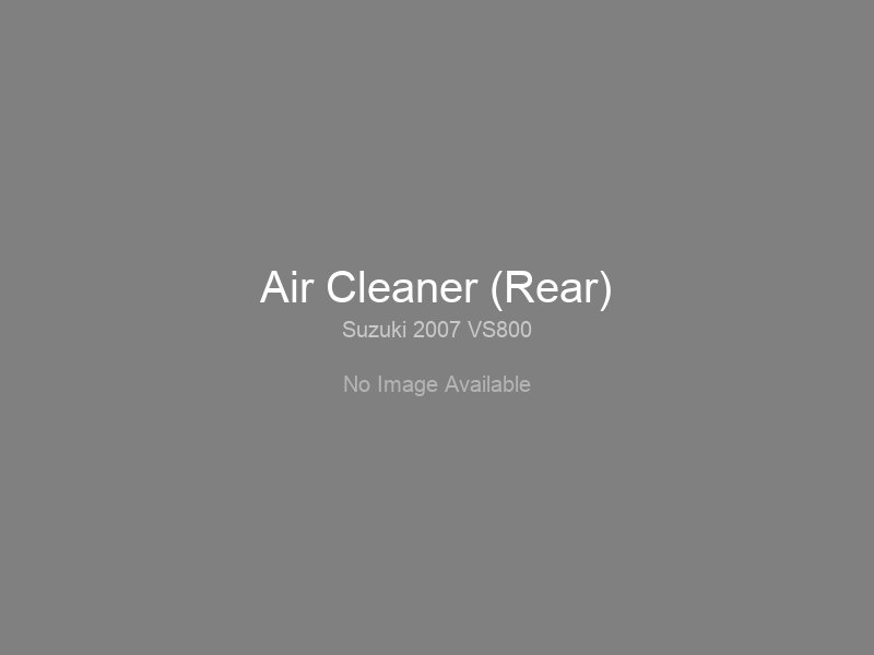Air Cleaner (Rear)