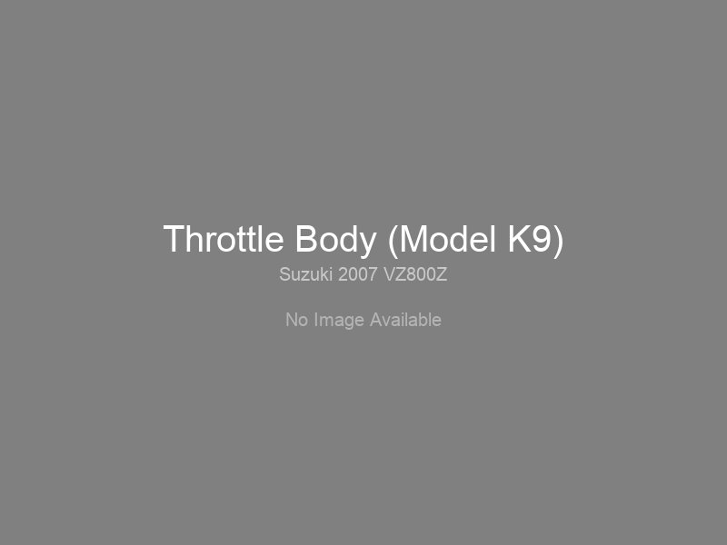 Throttle Body (Model K9)