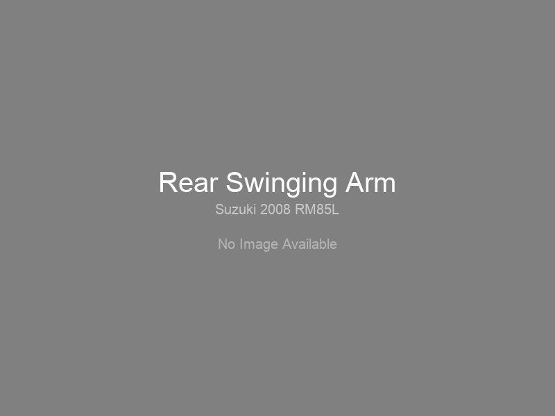 Rear Swinging Arm