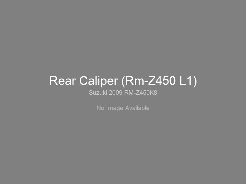 Rear Caliper (Rm-Z450 L1)