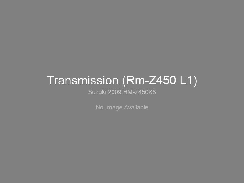 Transmission (Rm-Z450 L1)