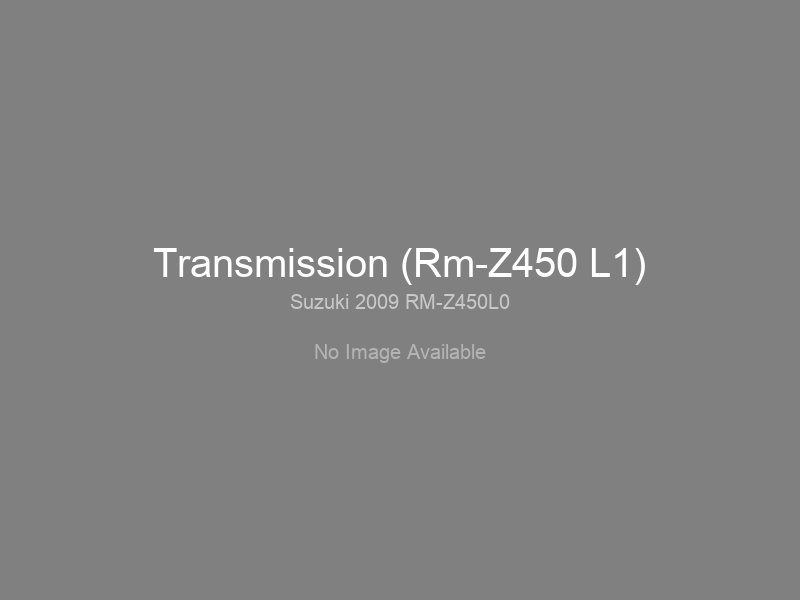 Transmission (Rm-Z450 L1)