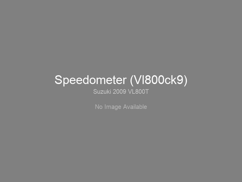 Speedometer (Vl800ck9)
