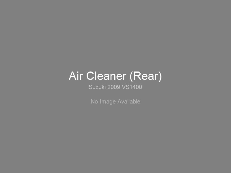 Air Cleaner (Rear)