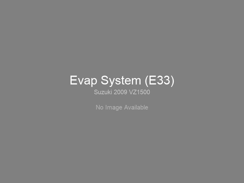 Evap System (E33)