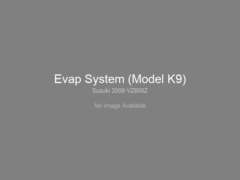 Evap System (Model K9)