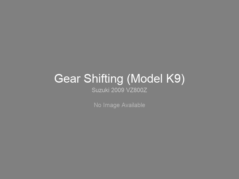 Gear Shifting (Model K9)