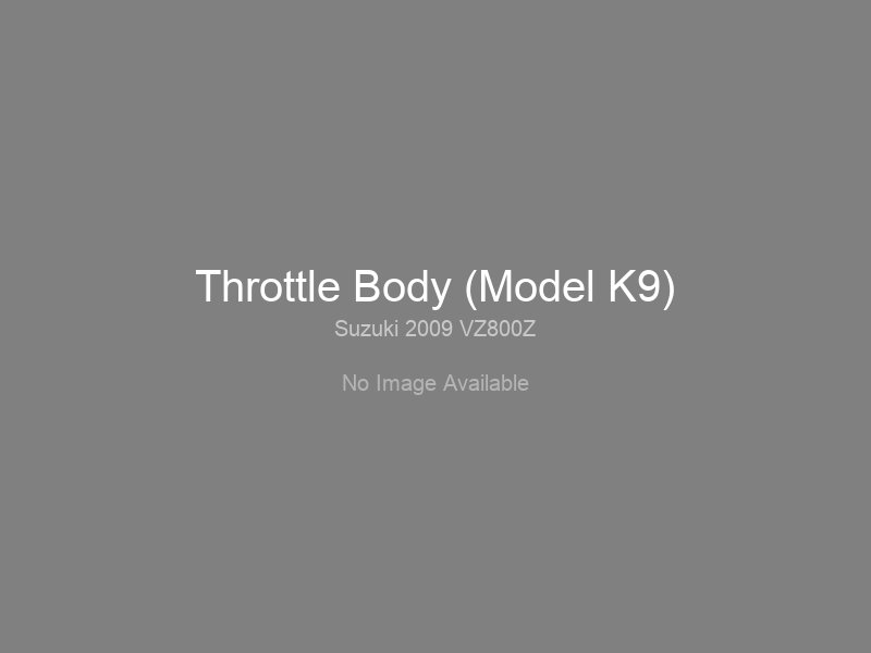 Throttle Body (Model K9)