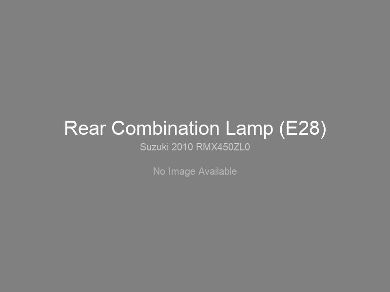 Rear Combination Lamp (E28)