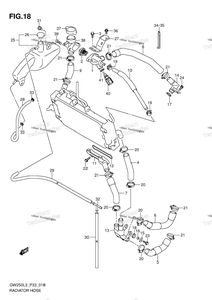 Radiator Hose