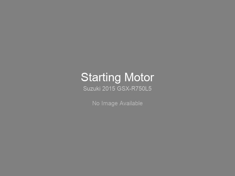 Starting Motor