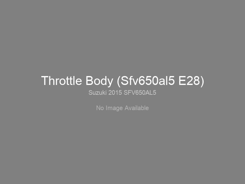 Throttle Body (Sfv650al5 E28)