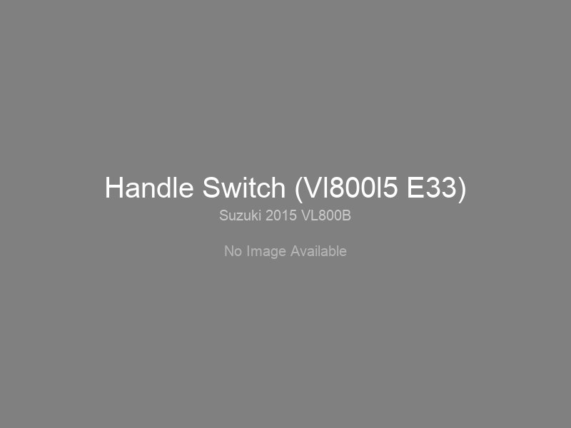 Handle Switch (Vl800l5 E33)