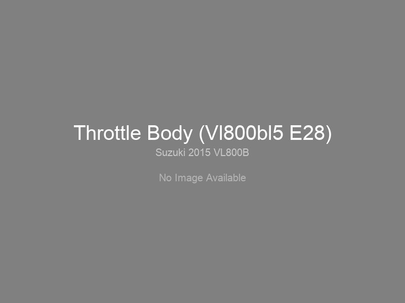 Throttle Body (Vl800bl5 E28)
