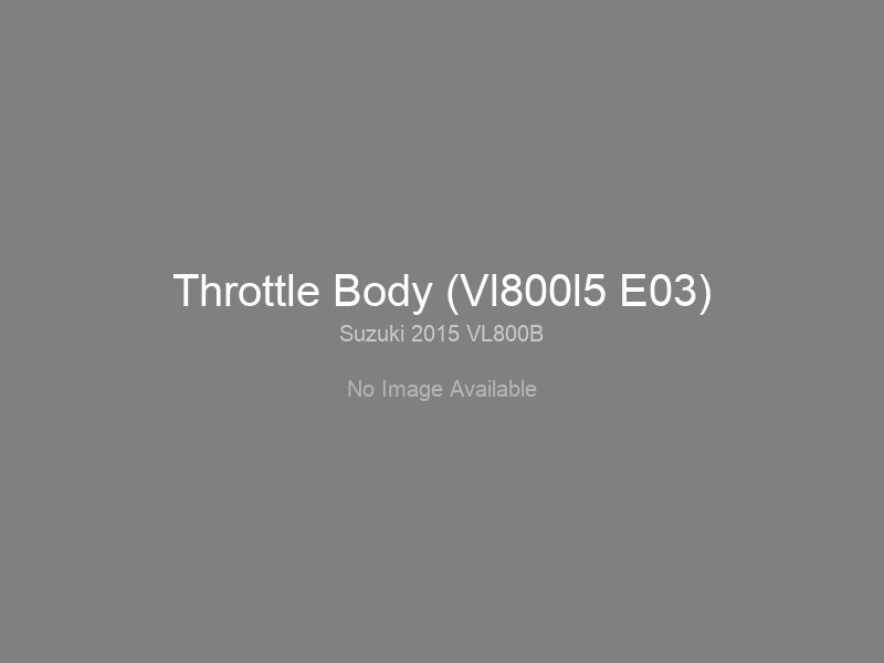 Throttle Body (Vl800l5 E03)