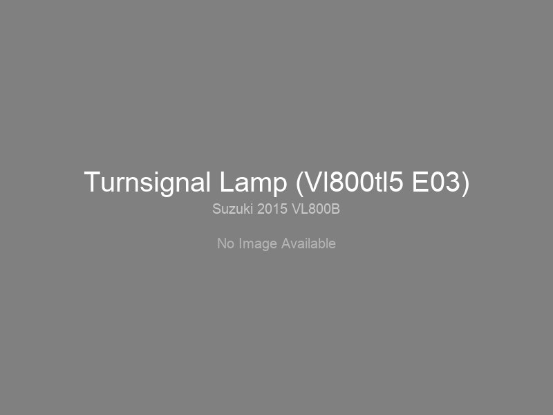 Turnsignal Lamp (Vl800tl5 E03)